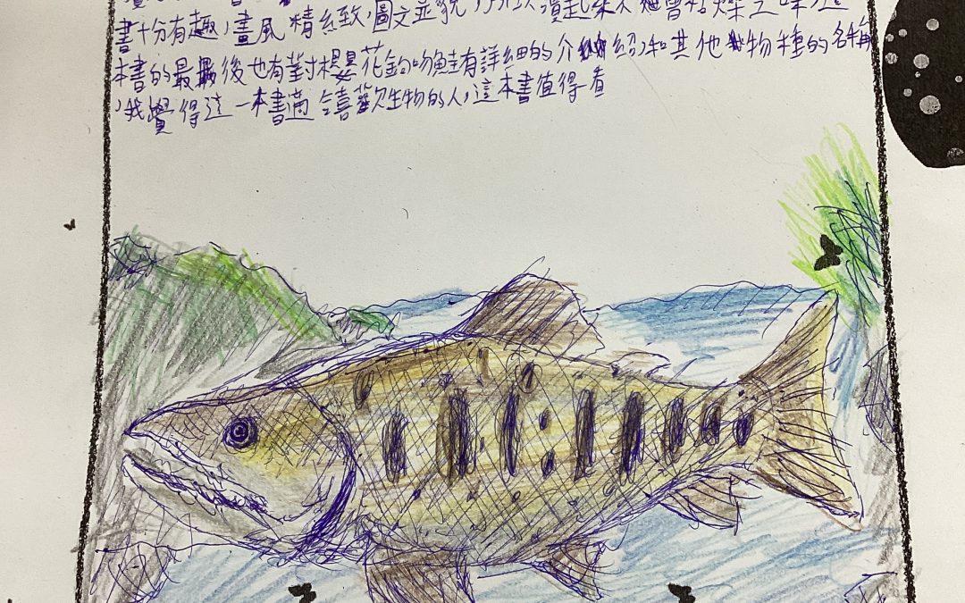 佚名-鮭寶魚兒的願望
