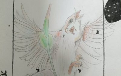 計皖珏-鳥兒