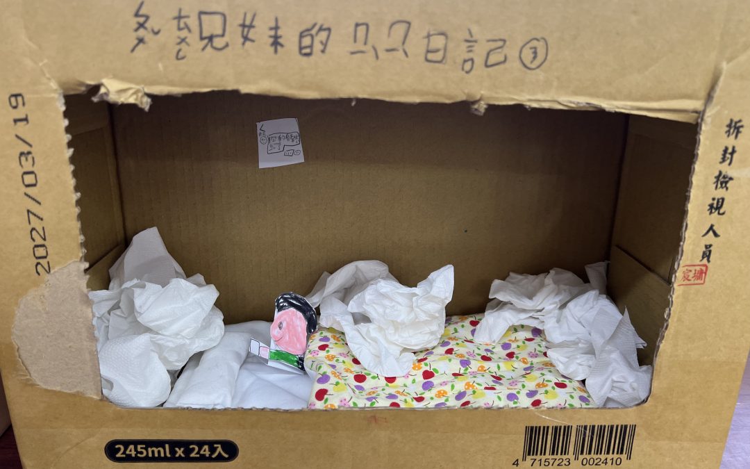 莊斯羽-普通兄妹的祕密日記