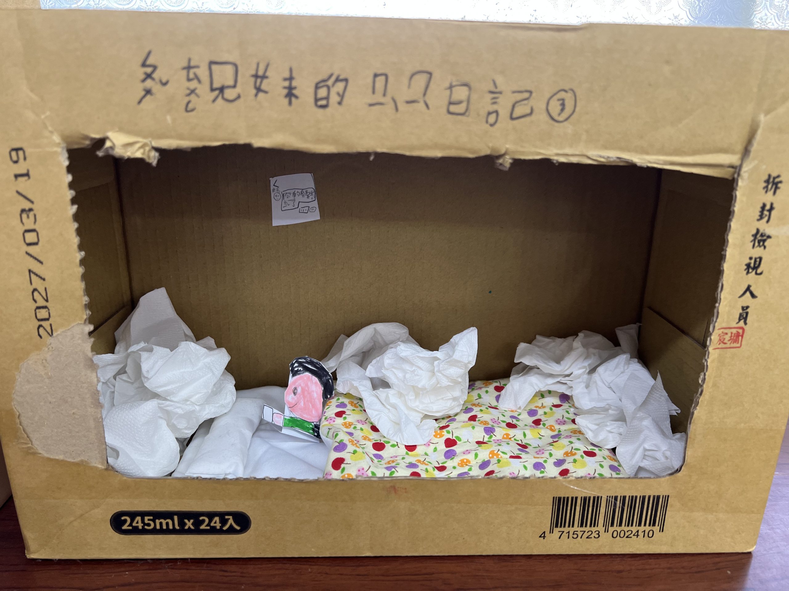 莊斯羽-普通兄妹的祕密日記