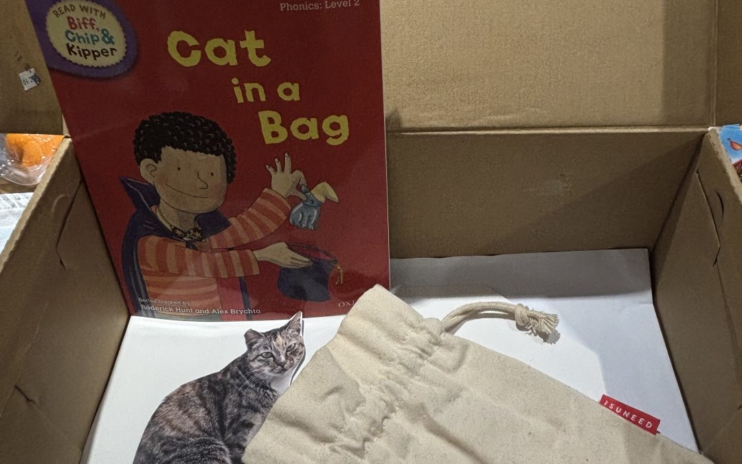 Doing-Cat in a Bag