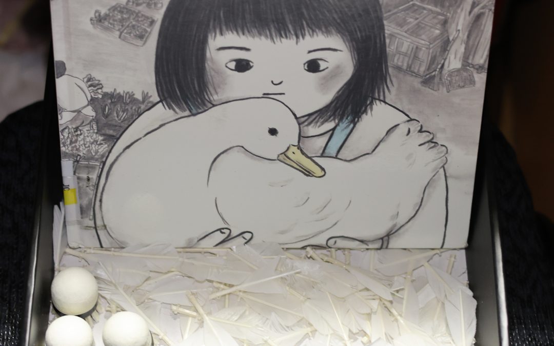 小智-白鴨