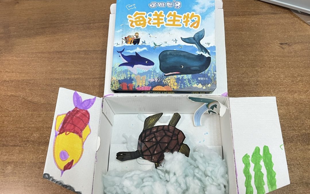 看大海-海洋生物
